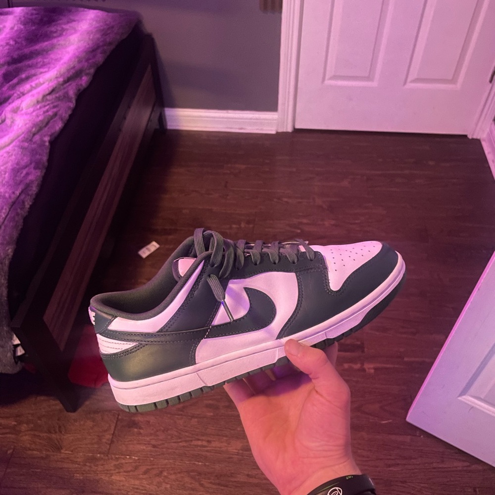 Nike Men's Michigan State Dunks